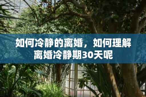 如何冷静的离婚，如何理解离婚冷静期30天呢