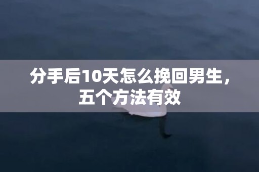 分手后10天怎么挽回男生，五个方法有效