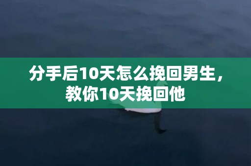 分手后10天怎么挽回男生，教你10天挽回他
