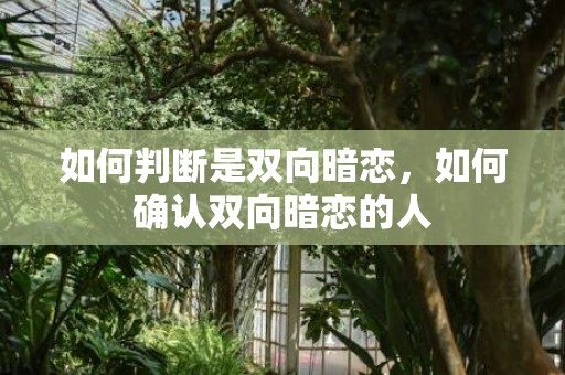 如何判断是双向暗恋，如何确认双向暗恋的人