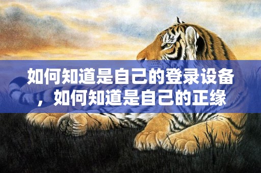 如何知道是自己的登录设备，如何知道是自己的正缘