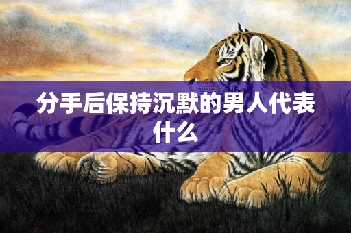 分手后保持沉默的男人代表什么