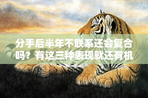分手后半年不联系还会复合吗？有这三种表现就还有机会