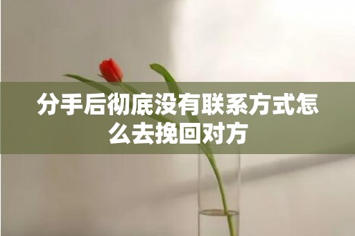 分手后彻底没有联系方式怎么去挽回对方