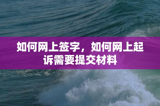 如何网上签字，如何网上起诉需要提交材料
