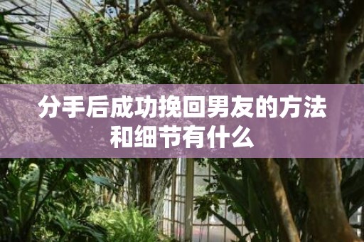分手后成功挽回男友的方法和细节有什么