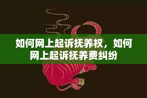 如何网上起诉抚养权，如何网上起诉抚养费纠纷