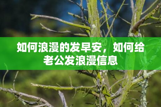 如何浪漫的发早安，如何给老公发浪漫信息
