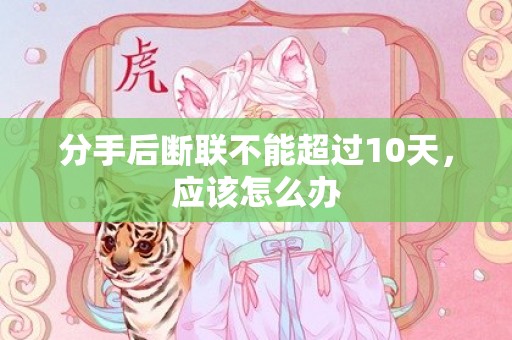 分手后断联不能超过10天，应该怎么办