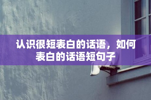认识很短表白的话语，如何表白的话语短句子