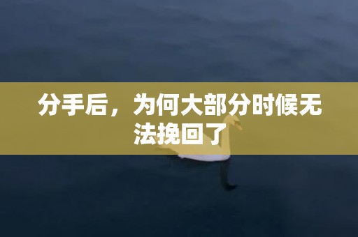 分手后，为何大部分时候无法挽回了