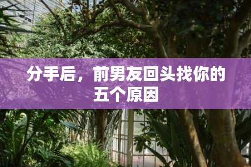 分手后，前男友回头找你的五个原因