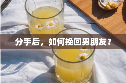 分手后，如何挽回男朋友？
