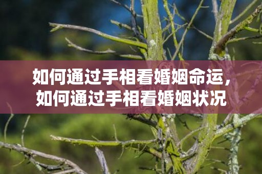 如何通过手相看婚姻命运，如何通过手相看婚姻状况