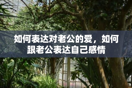 如何表达对老公的爱，如何跟老公表达自己感情