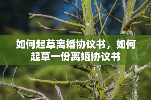 如何起草离婚协议书，如何起草一份离婚协议书