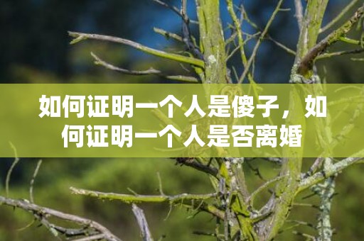 如何证明一个人是傻子，如何证明一个人是否离婚