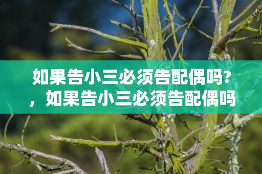 如果告小三必须告配偶吗?，如果告小三必须告配偶吗