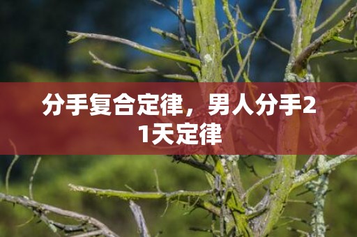分手复合定律，男人分手21天定律
