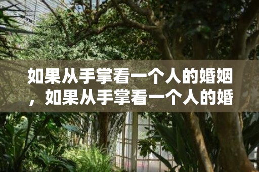 如果从手掌看一个人的婚姻，如果从手掌看一个人的婚姻