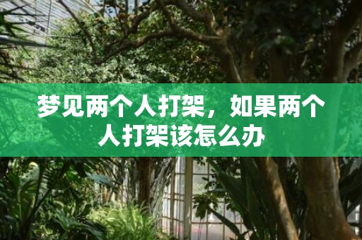 梦见两个人打架，如果两个人打架该怎么办
