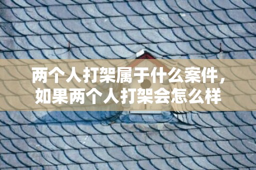 两个人打架属于什么案件，如果两个人打架会怎么样