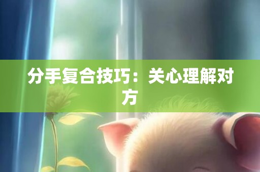分手复合技巧：关心理解对方