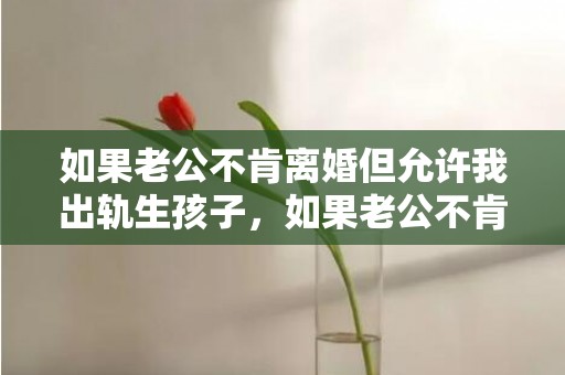 如果老公不肯离婚但允许我出轨生孩子，如果老公不肯离婚怎么办