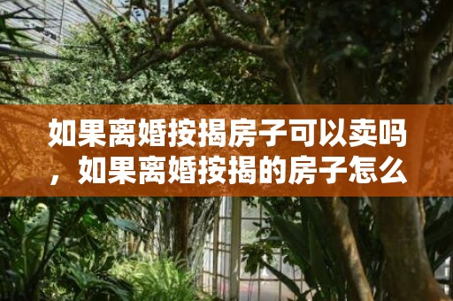 如果离婚按揭房子可以卖吗，如果离婚按揭的房子怎么办