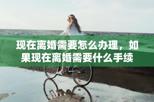 现在离婚需要怎么办理，如果现在离婚需要什么手续