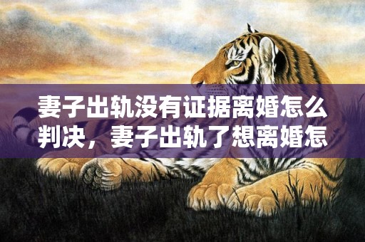 妻子出轨没有证据离婚怎么判决，妻子出轨了想离婚怎么离