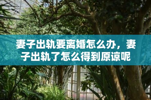 妻子出轨要离婚怎么办，妻子出轨了怎么得到原谅呢