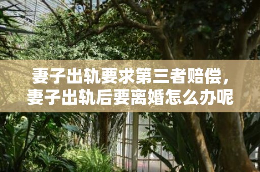 妻子出轨要求第三者赔偿，妻子出轨后要离婚怎么办呢