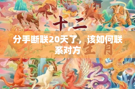 分手断联20天了，该如何联系对方