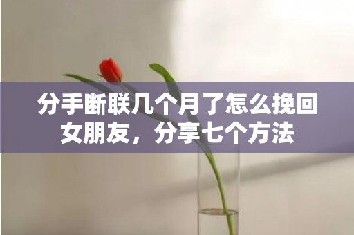 分手断联几个月了怎么挽回女朋友，分享七个方法