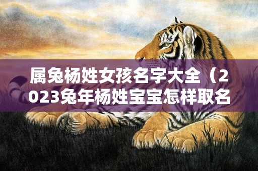 属兔杨姓女孩名字大全（2023兔年杨姓宝宝怎样取名字2023兔年杨姓宝宝怎样取名字...）
