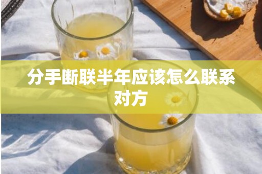 分手断联半年应该怎么联系对方
