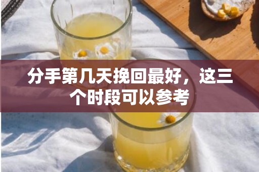 分手第几天挽回最好，这三个时段可以参考