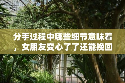 分手过程中哪些细节意味着，女朋友变心了了还能挽回