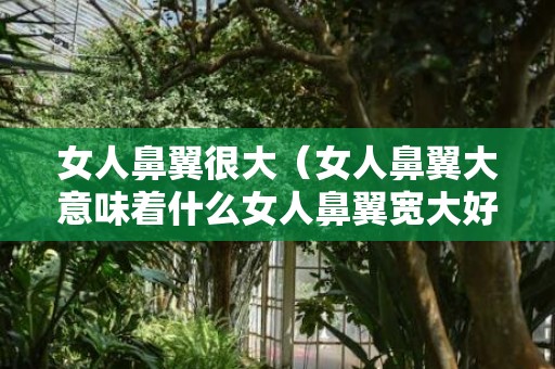 女人鼻翼很大（女人鼻翼大意味着什么女人鼻翼宽大好不好）