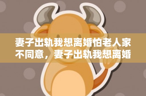 妻子出轨我想离婚怕老人家不同意，妻子出轨我想离婚太难受了