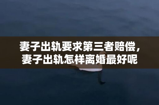 妻子出轨要求第三者赔偿，妻子出轨怎样离婚最好呢
