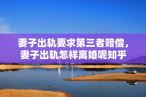 妻子出轨要求第三者赔偿，妻子出轨怎样离婚呢知乎