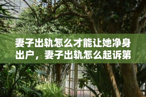 妻子出轨怎么才能让她净身出户，妻子出轨怎么起诉第三者呢