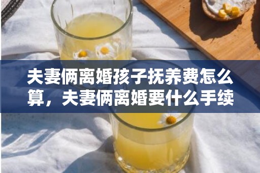 夫妻俩离婚孩子抚养费怎么算，夫妻俩离婚要什么手续呢