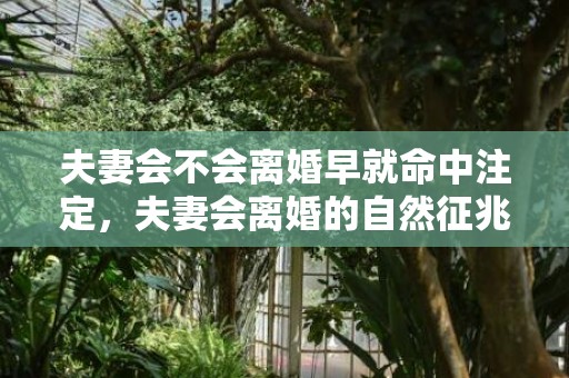 夫妻会不会离婚早就命中注定，夫妻会离婚的自然征兆