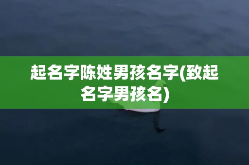 起名字陈姓男孩名字(致起名字男孩名)