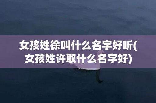 女孩姓徐叫什么名字好听(女孩姓许取什么名字好)
