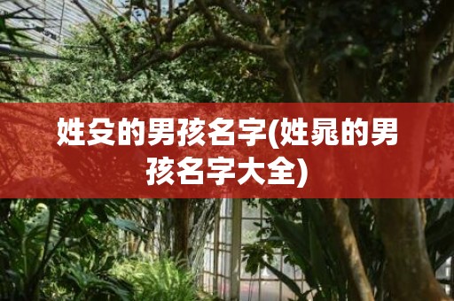 姓殳的男孩名字(姓晁的男孩名字大全)