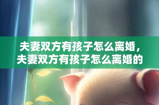 夫妻双方有孩子怎么离婚，夫妻双方有孩子怎么离婚的